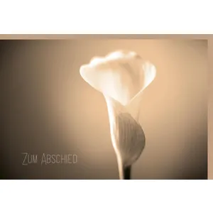 Produktbild des Artikels Faltkarte "Zum Abschied" (Schreibwaren)