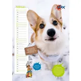 Stimmungsbild zu Der ultracoole KLÄX-Kalender 2026