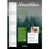 Stimmungsbild zu Der andersLEBEN-Kalender 2026