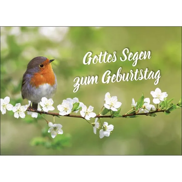 Produktbild des Artikels Postkarten: Gottes Segen zum Geburtstag, 4 Stück (Schreibwaren)