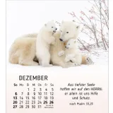 Stimmungsbild zu Meine kleinen Freunde 2026 - Tischkalender