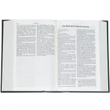 Stimmungsbild zu Schlachter 2000 - Taschenausgabe - klassisch