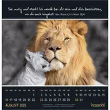 Stimmungsbild zu Kleine Wunder entdecken 2026 - Wandkalender