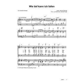 Produktbild des Artikels Wie tief kann ich fallen (Noten - Download)
