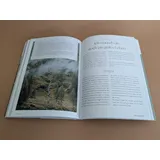 Stimmungsbild zu Das Bibellesebuch zu 1. Mose