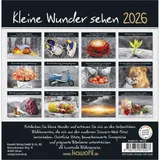 Stimmungsbild zu Kleine Wunder sehen 2026 - Postkartenkalender