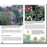 Stimmungsbild zu Die ersten Gipfelstürmer