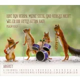 Stimmungsbild zu Du sorgst für mich 2026 - Postkartenkalender