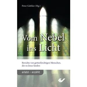 Produktbild des Artikels Vom Nebel ins Licht (Buch - Taschenbuch)