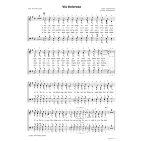 Produktbild des Artikels Via Dolorosa (Noten - Download)