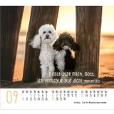 Stimmungsbild zu Begegnungen 2026 - Minikalender