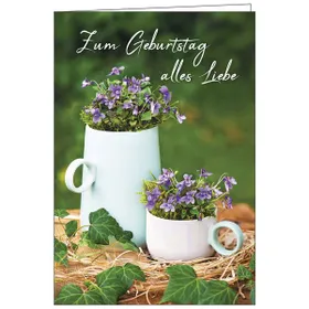 Produktbild des Artikels Faltkarte: Zum Geburtstag alles Liebe (Schreibwaren)