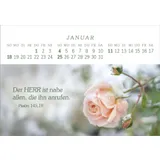 Stimmungsbild zu Das Geschenk der Freude 2026