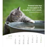 Stimmungsbild zu Leben für Dich 2026 - Rumänisch Postkartenkalender