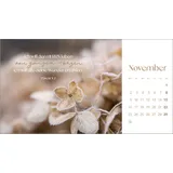 Stimmungsbild zu Augenblicke der Anbetung 2026 - Postkartenkalender