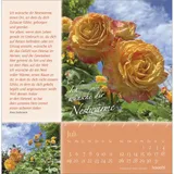 Stimmungsbild zu Rosenduft mit lieben Wünschen 2026 - Postkartenkalender