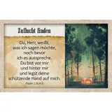 Stimmungsbild zu Survival-Kit - Karten