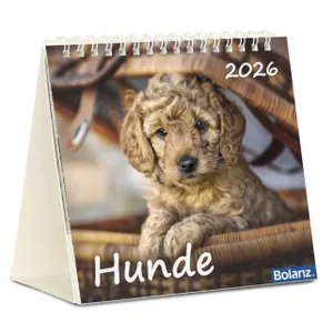 Produktbild des Artikels Hunde 2026 - Tischkalender (Kalender - Spiralbindung)