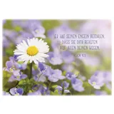 Stimmungsbild zu Postkartenbox "Getragen und getröstet"