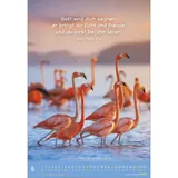 Stimmungsbild zu Meine kleine Welt 2026 - Wandkalender