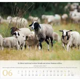 Stimmungsbild zu Psalm 23 - Wandkalender 2026