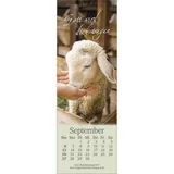 Stimmungsbild zu Sei behütet jeden Tag 2026 - Lesezeichen-Kalender