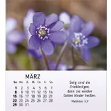 Stimmungsbild zu Ich wünsch dir Freude 2026 - Tischkalender