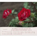Stimmungsbild zu Rosen 2026 - Tischkalender