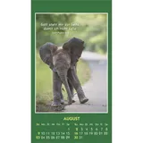 Stimmungsbild zu Hallo Du 2026 - Aufkleber-Kalender