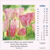 Stimmungsbild zu Worte des Lebens 2026 - Postkartenkalender