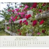 Stimmungsbild zu Rosen 2026 - Tischkalender