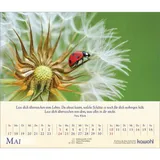 Stimmungsbild zu Kostbares für deine Seele 2026 - Postkartenkalender