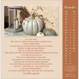 Stimmungsbild zu Gut, dass es dich gibt 2026 - Postkartenkalender