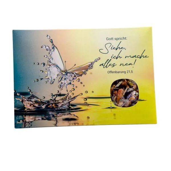 Motiv Schmetterling 3